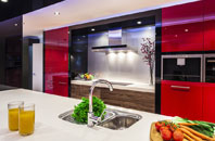 Red House Common kitchen extensions